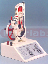 Sectional Model of 2-Stroke Petrol Engine