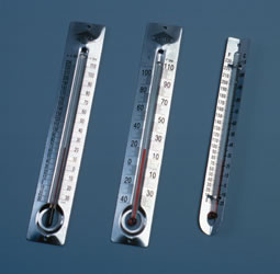 Metal Black Student Thermometers