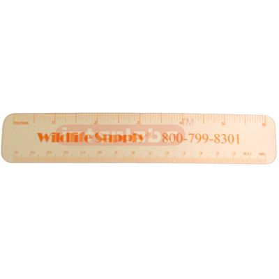 Clear Plastic Rulers, Pk 12