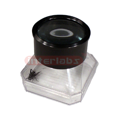 Bug Magnifier, Gridded