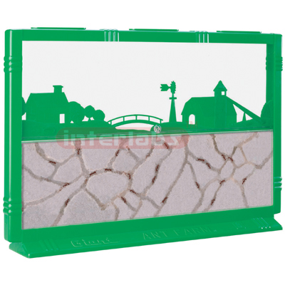 Giant Ant Farm